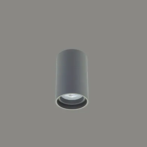 N1013 (WHT/GRY/BLK) ceiling surface-mounted cylindrical downlight