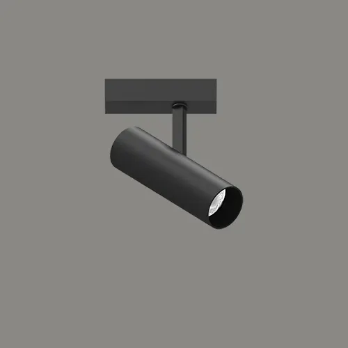 T355 spotlight
