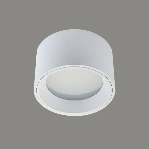 N1007 (WHT/BLK)
